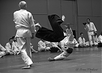2012_pankova_aikido-08603.jpg