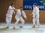 2014_pankova-aikido-04112.jpg